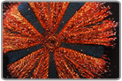 Red Royal Urchin